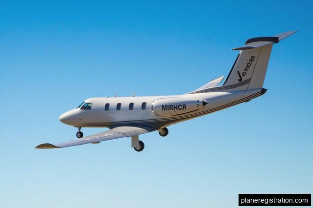 Compliance Assistance